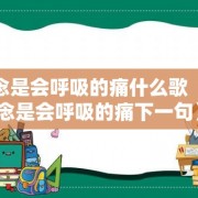 想念是会呼吸的痛什么歌（想念是会呼吸的痛下一句）