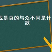 我是真的与众不同是什么歌