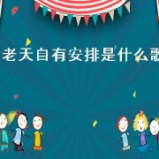 老天自有安排是什么歌