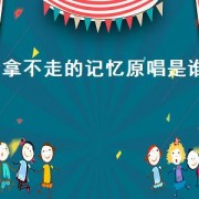 拿不走的记忆原唱是谁