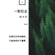 《一粒红尘》十句经典句子