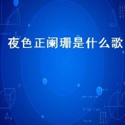 夜色正阑珊是什么歌