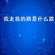 我走我的路是什么歌