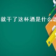 就干了这杯酒是什么歌