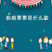 伤痕累累是什么歌