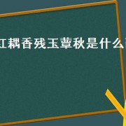 红耦香残玉蕈秋是什么歌