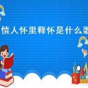 情人怀里释怀是什么歌