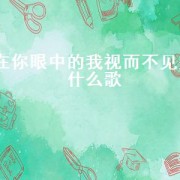 在你眼中的我视而不见是什么歌（你在我眼前消失不见这是什么歌）