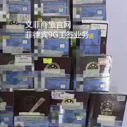 怎么办理菲律宾的9G工作签证（9G工作签证费用）