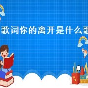 歌词你的离开是什么歌
