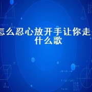怎么忍心放开手让你走是什么歌（歌词有让我认真走一遭是什么歌）