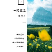 《一粒红尘》十句经典句子