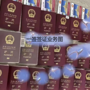 马来西亚的商务签证办理费用（办理材料）