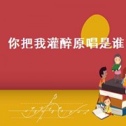 你把我灌醉原唱是谁（你把我灌醉原唱撕心裂肺版）
