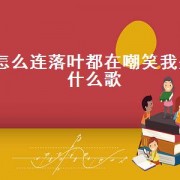 怎么连落叶都在嘲笑我是什么歌（连落下的树叶都在嘲笑我是什么歌）
