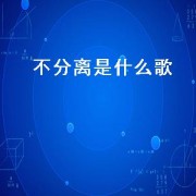 不分离是什么歌