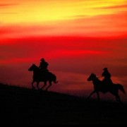 桃花和雪的诗词（桃花和雪的诗词）