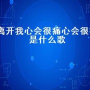 离开我心会很痛心会很痛是什么歌（离开他心会很痛是什么歌）