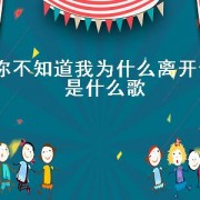 你不知道我为什么离开你是什么歌