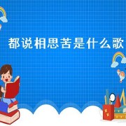 都说相思苦是什么歌