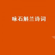 咏石斛兰诗词（咏石斛兰的诗句）