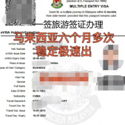马来西亚的商务签证办理费用（办理材料）
