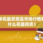 哪种花最贵而且市场行情好（什么花最昂贵）
