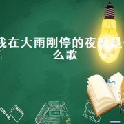我在大雨刚停的夜晚是什么歌（我在大雨刚停的夜晚一个人游荡）