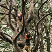 奇幻及科幻系列04 仙境之桥：BridgetoTerabithia
