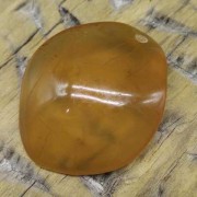 青鱼石在鱼的什么部位？（青鱼石在鱼的什么部位怎么取）