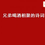 兄弟喝酒相聚的诗词（兄弟相聚的诗词）