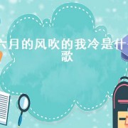 六月的风吹的我冷是什么歌