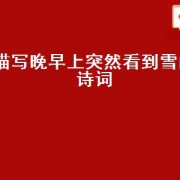 描写晚早上突然看到雪的诗词