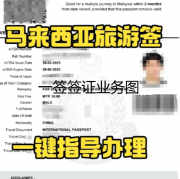 马来西电子签证申请最全面攻略,马来签证办理