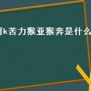 阿k苦力猴亚猴奔是什么歌（阿k苦力猴亚猴奔什么梗）