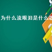 为什么流眼泪是什么歌（伤心难过就流眼泪是什么歌）