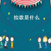抬歌是什么