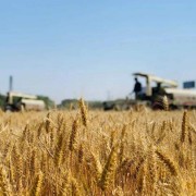 风字开头诗词共16字