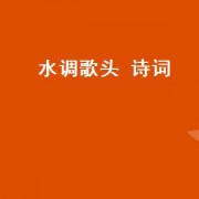 水调歌头 诗词
