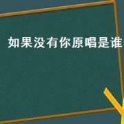 如果没有你原唱是谁（如果没有你原唱男声是谁）