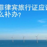 在菲律宾旅行证应该怎么补办？详细流程是什么