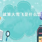 就算大雪飞是什么歌（就算大风吹就算大雪飞这是什么歌）