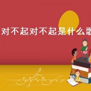 对不起对不起是什么歌（关于对不起的歌）