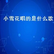 小雪花唱的是什么歌